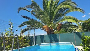 Une piscine avec un palmier en arrière-plan.