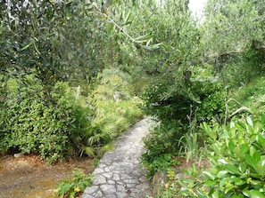 Un sendero de piedra rodeado de abundante follaje y diversas plantas.