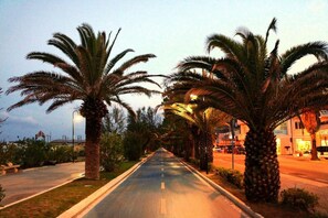 A road lined with palm trees and a building on the right.