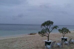 A beach with sand, a few trees, and a row of white chairs.