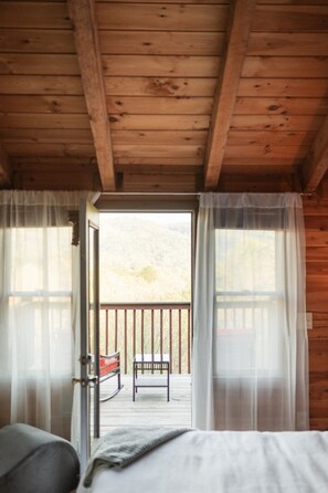 1 bedroom, iron/ironing board, WiFi, bed sheets - Indoor Jacuzzi~Adult Cabin~BDSM~Views (Blue Ridge)
