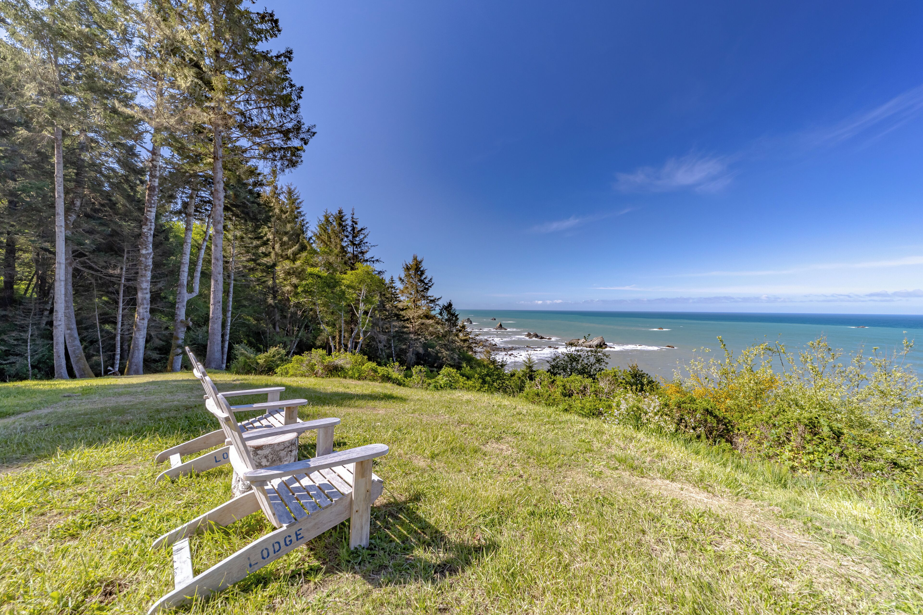 A view of a beach with a row of Adirondack chairs labeled 'Lodge' and a grassy area with trees.
