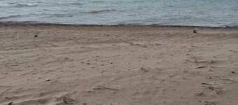 Black's Point Bliss is rural escapism at its best.