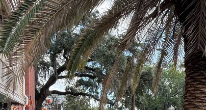 Private studio/parking in historic mansion, close to forsyth park, dogs welcome