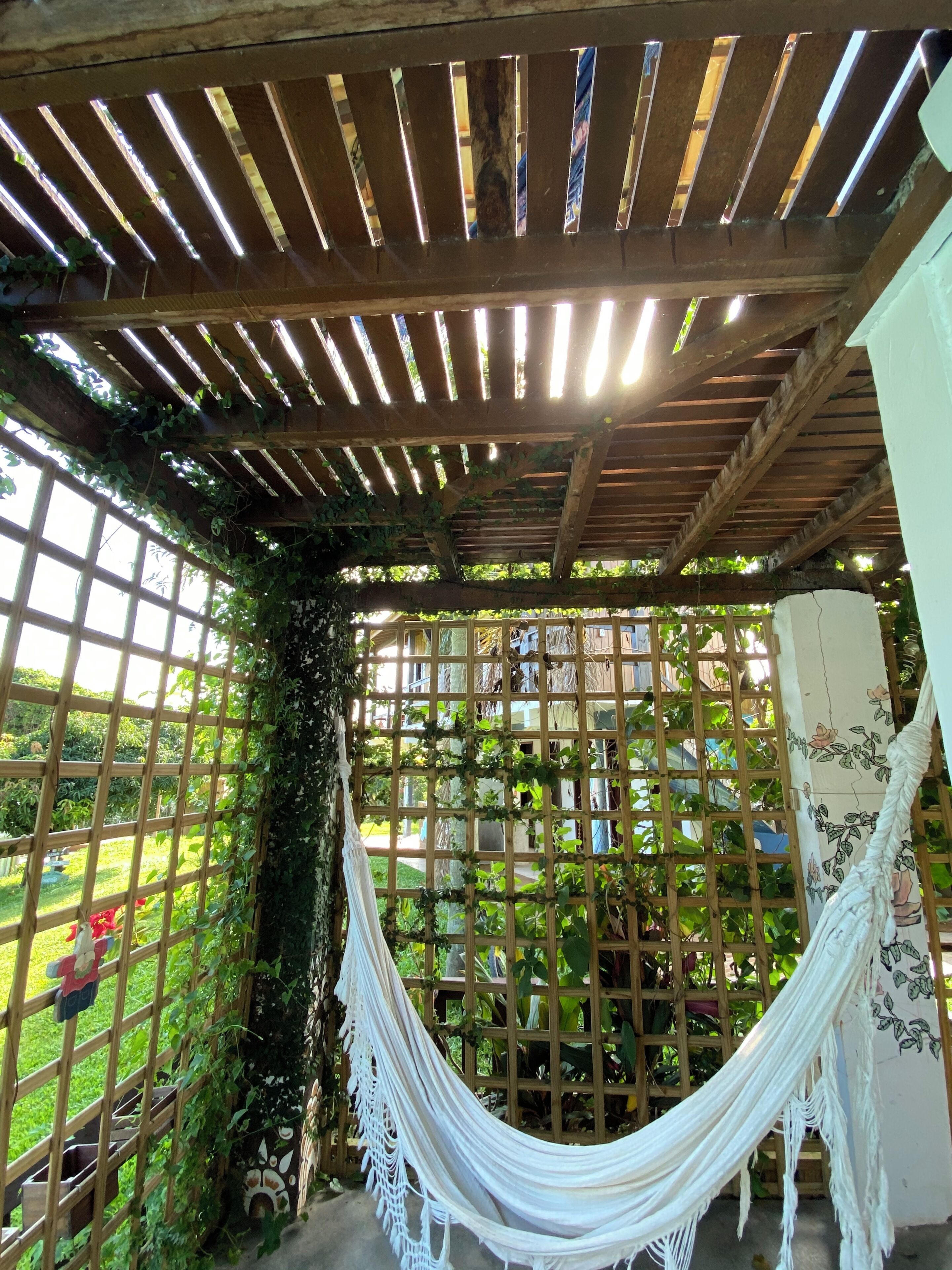 A hammock under a wooden pergola with a lattice wall and greenery.