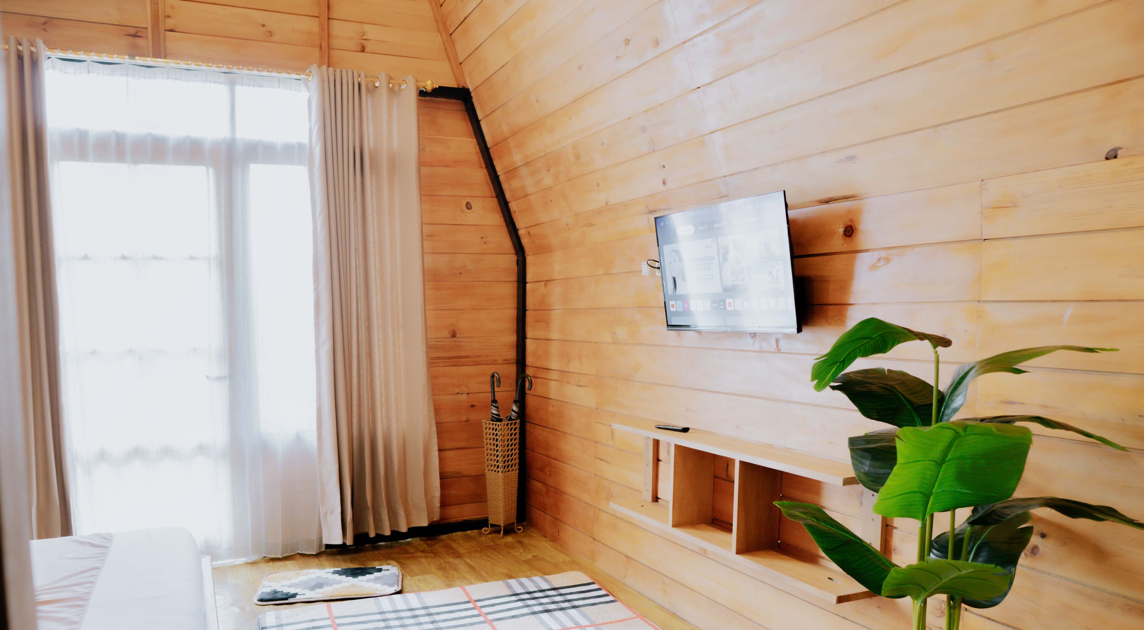 A wooden cabin room with a bed, a TV, a plant, and a window with curtains.