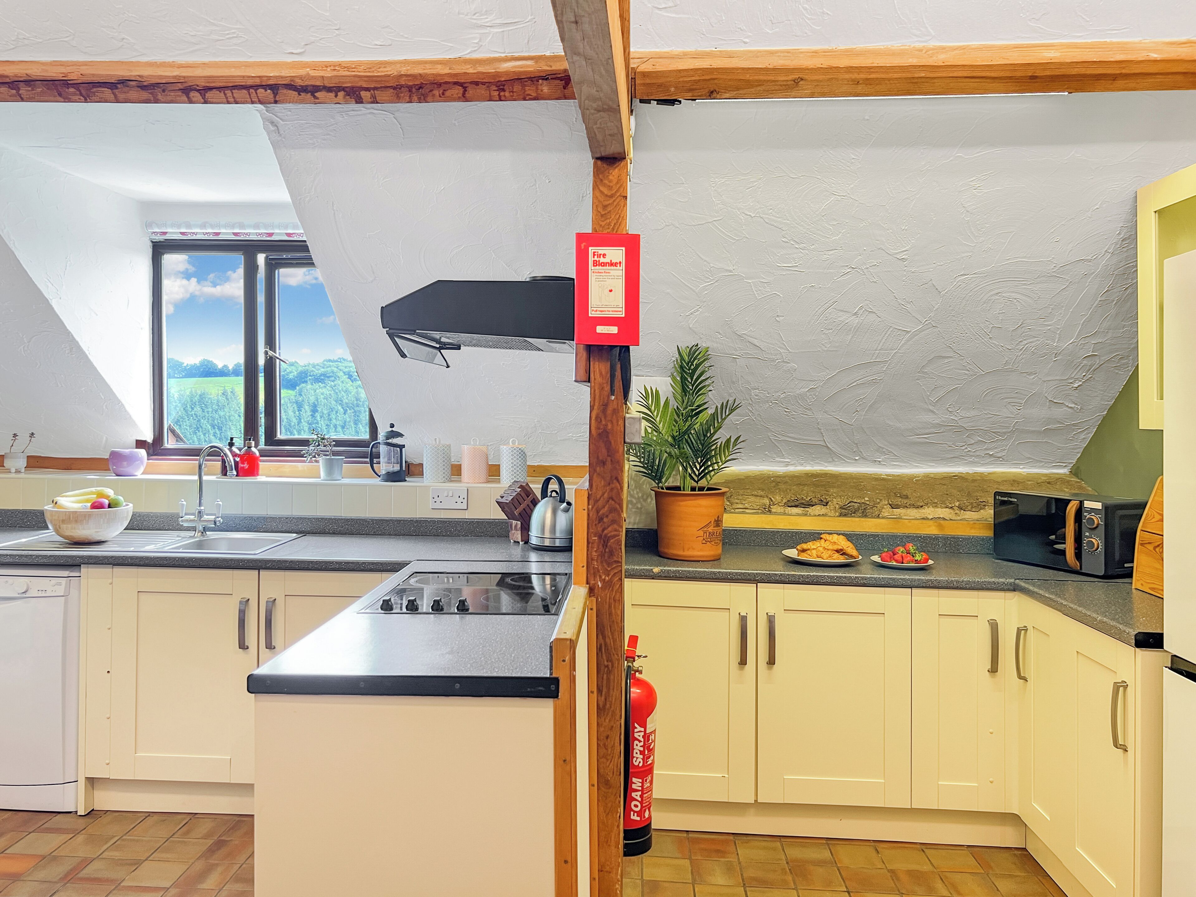 A kitchen with a window, a stove, a sink, and a potted plant.