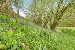 Un paisaje verde exuberante con diversas flores silvestres y árboles.