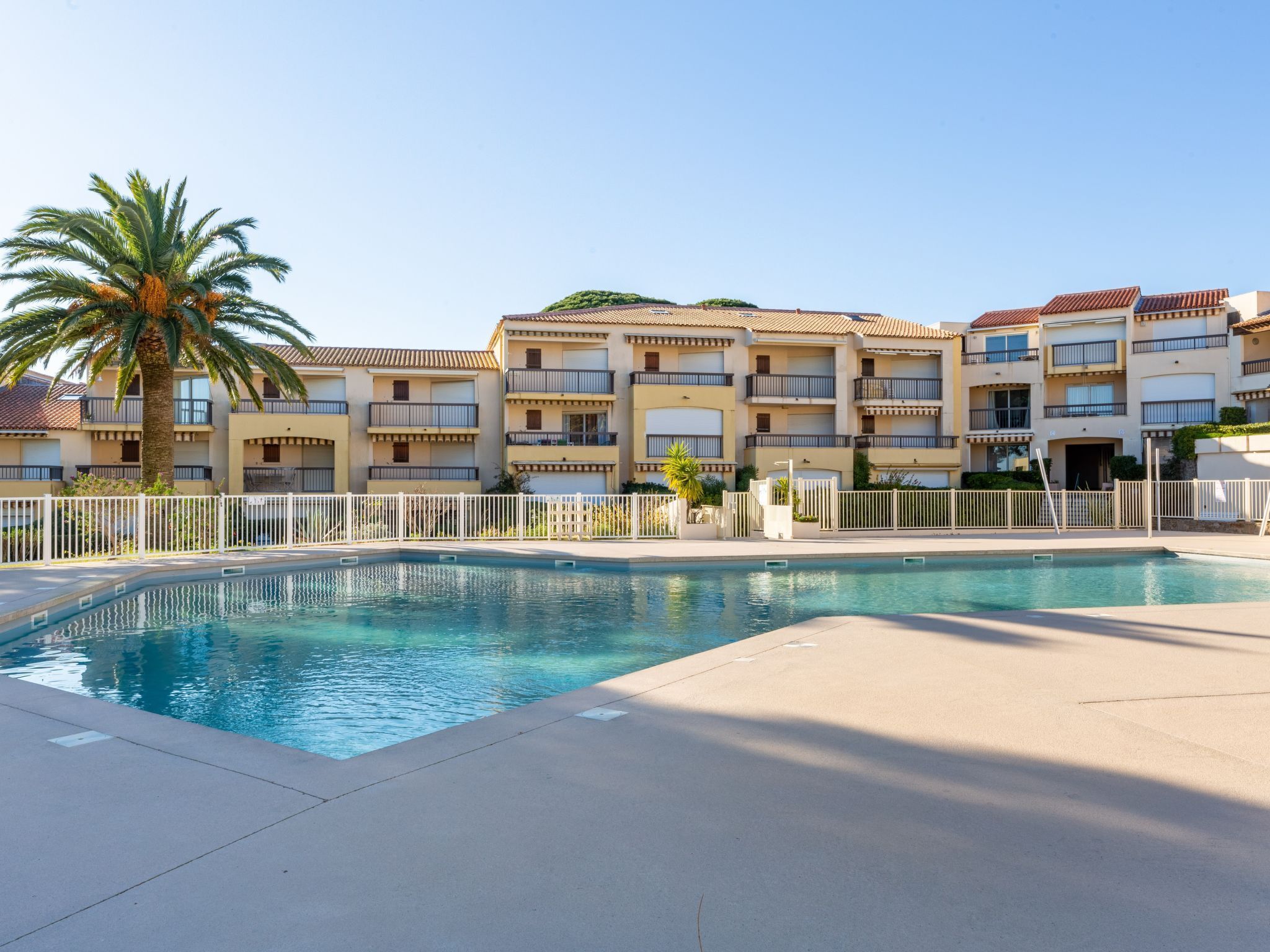 Una piscina amb superfície d'aigua blava i cristal·lina, envoltada per una tanca blanca. Al fons, edificis de diversos pisos amb balcons i una palmera.
