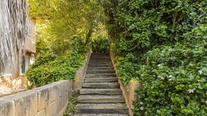 Eine steinerne Treppe, umgeben von üppigem Grün und weißen Blüten.