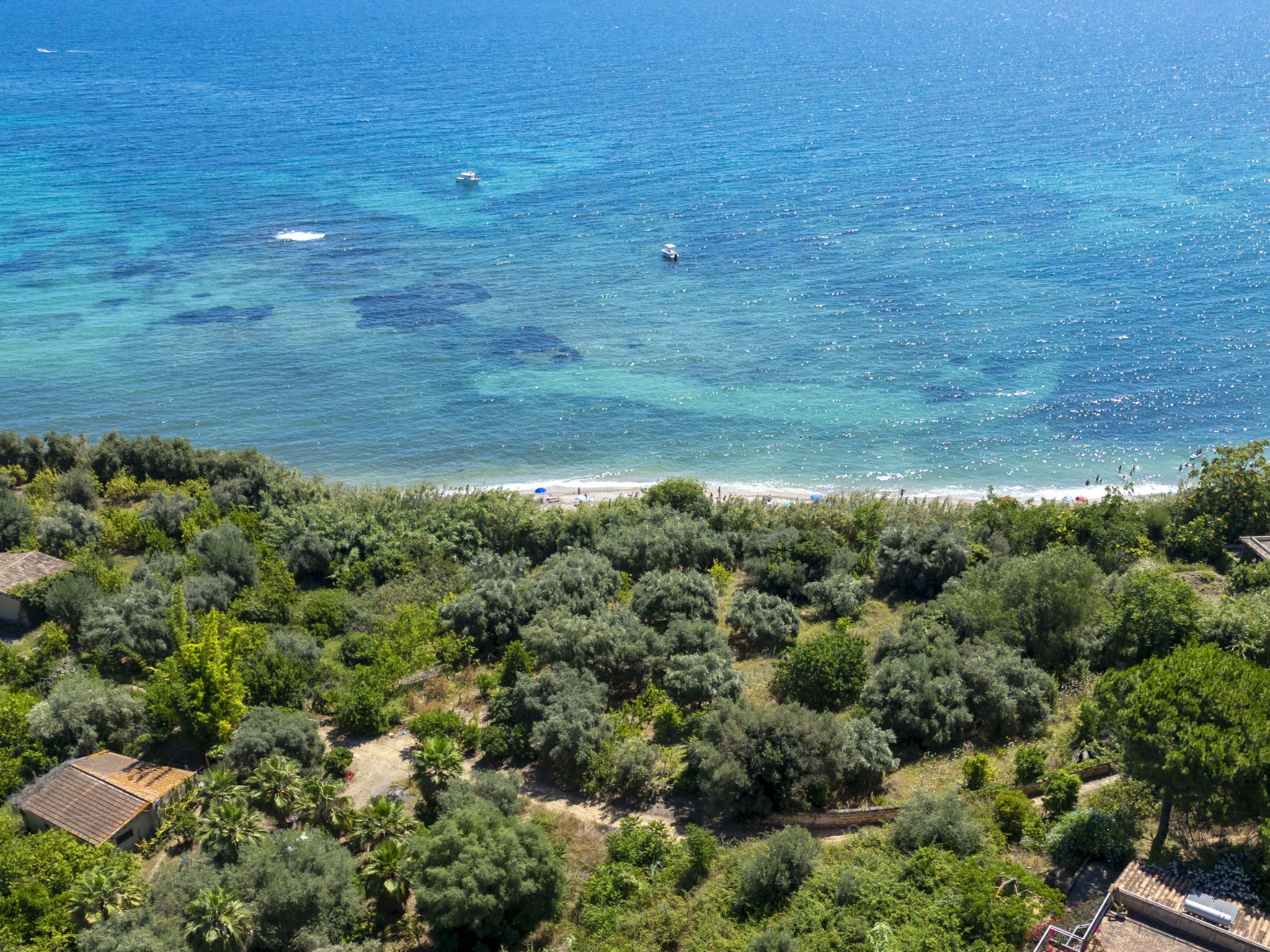 Un paysage côtier avec une plage, une végétation luxuriante et un petit bâtiment.