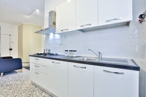 Fridge, oven, stovetop, cookware/dishes/utensils