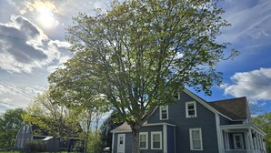 A two-story house with a large tree in front, a driveway, and a clear sky. - Scenic Shelburne home. Central location close to Shelburne Harbour. (Shelburne)