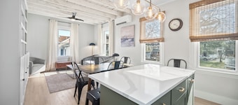 Luxury 3brm/1bath Duplex in JP
