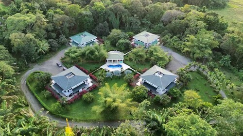Serene Jungle Condo in Rainforest Paradise