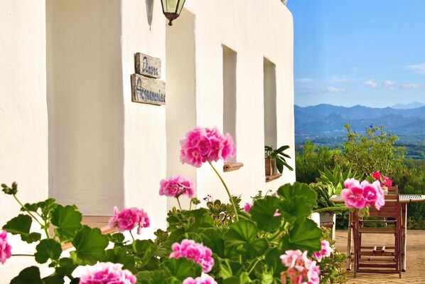 A white building with a sign, a wooden chair, and pink flowers in the foreground.