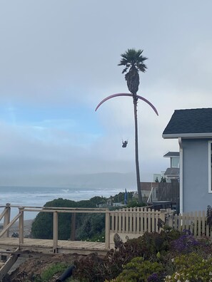 Miscellaneous - StarLitSands - Comfortable 2-bed house in Cayucos, view of Morro Rock and Ocean (Cayucos)