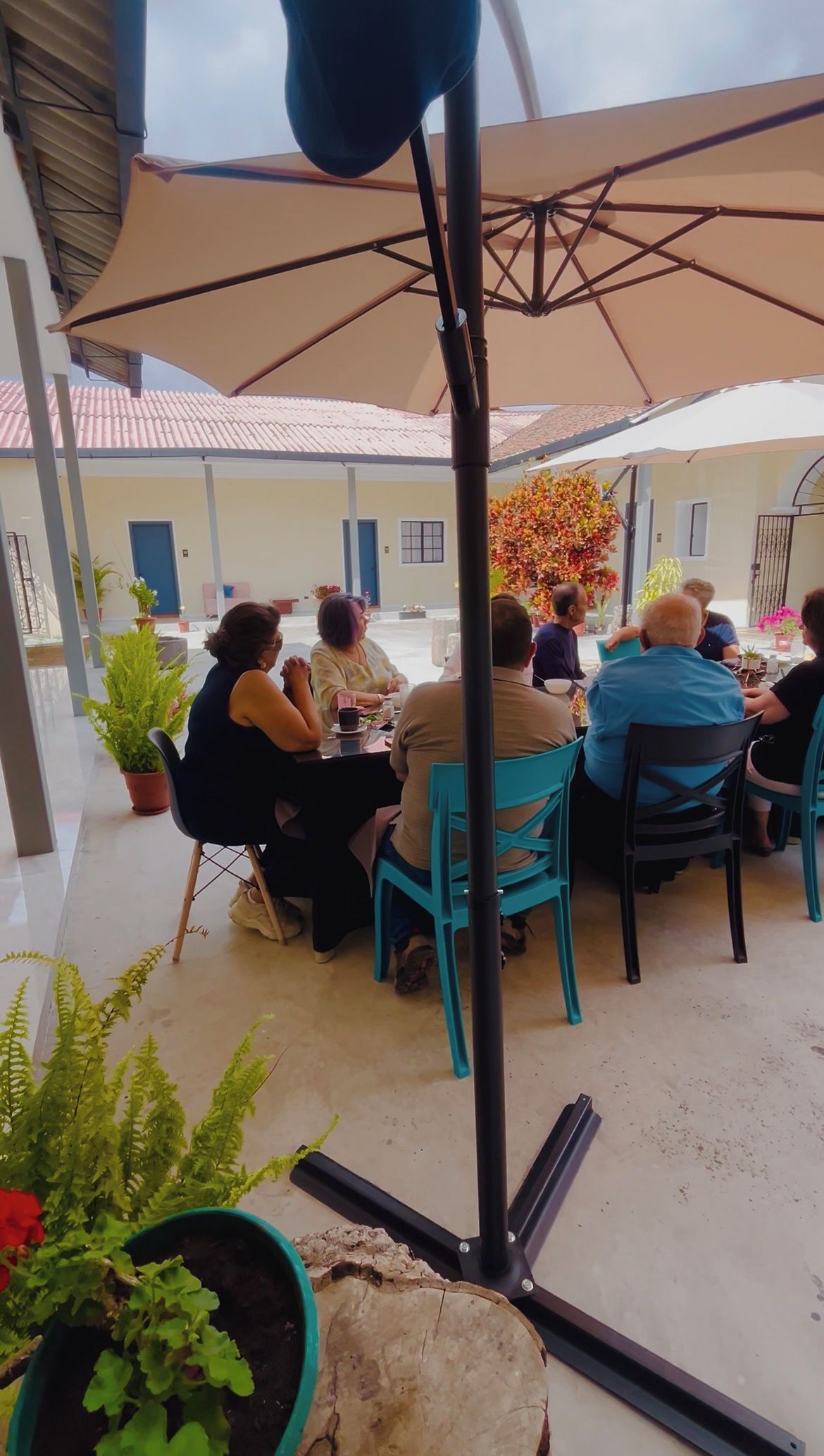 Un patio al aire libre con mesas y sillas, rodeado de plantas en macetas y una zona de estar cubierta.