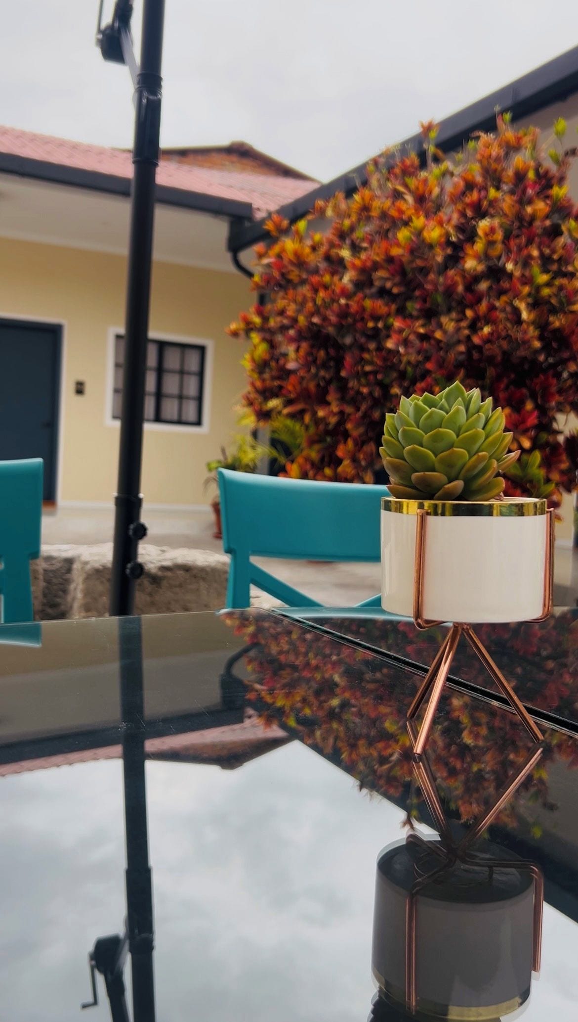 Una mesa con una planta suculenta en una maceta blanca, una superficie reflectante y una silla azul al fondo.