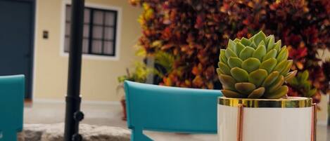 Una mesa con una planta suculenta en una maceta blanca, una superficie reflectante y una silla azul al fondo.