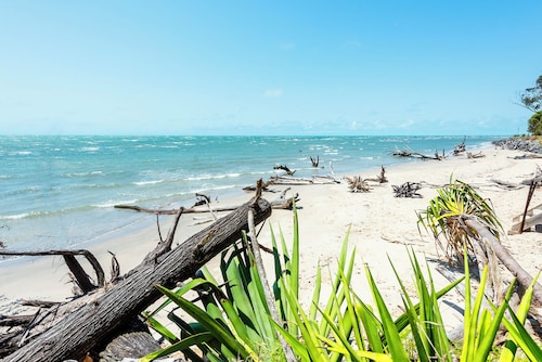 Pet friendly beachfront home in Hervey Bay. Sleeps 8.