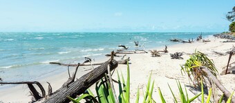 Pet friendly beachfront home in Hervey Bay. Sleeps 8.