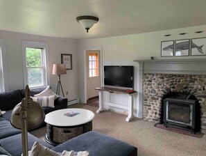 TV, fireplace, books