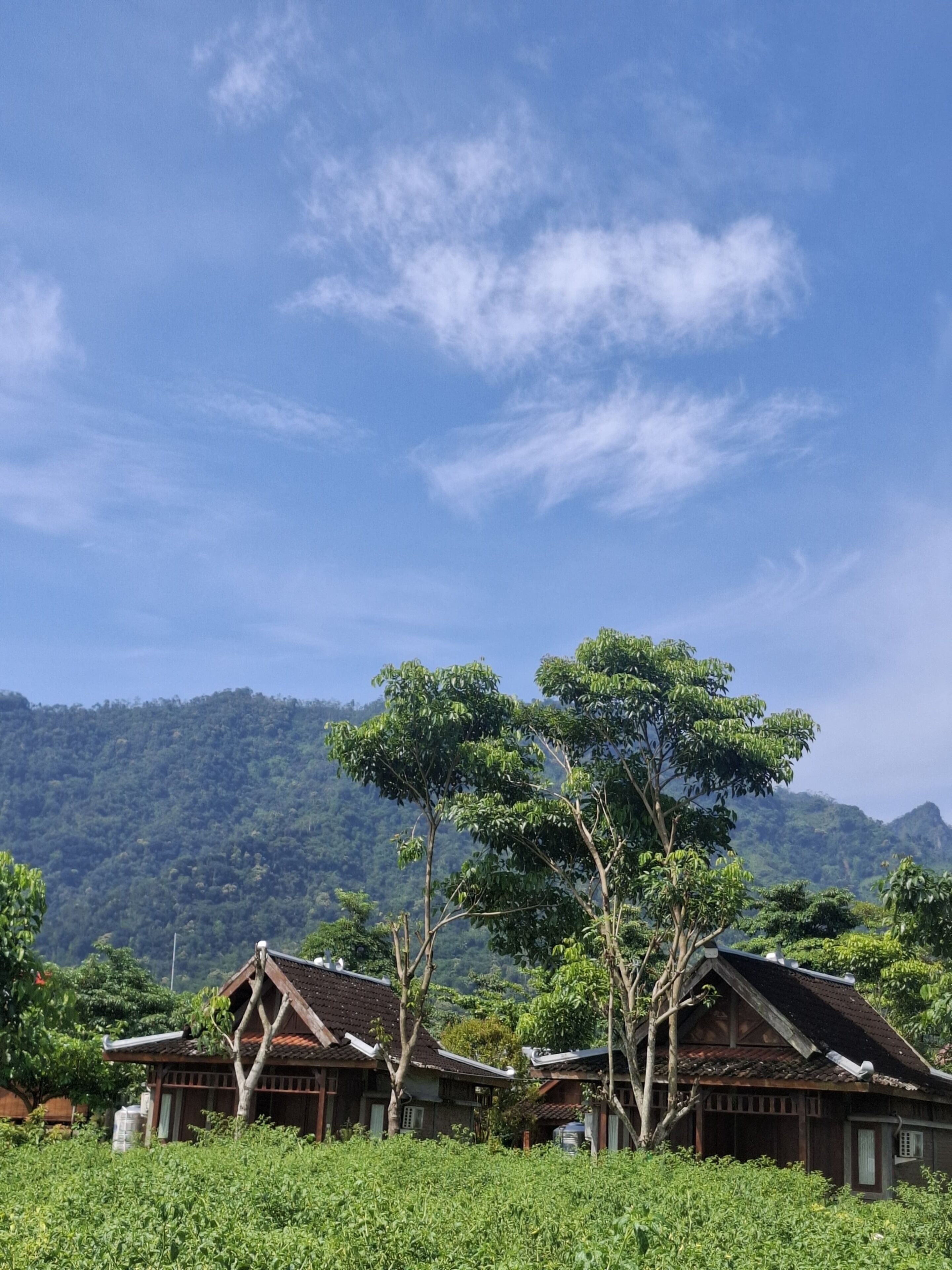 A traditional wooden house with a sloped roof, surrounded by lush greenery and a mountain in the background.