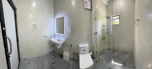 Hair dryer, bidet, towels, toilet paper