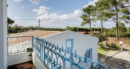 Pinhal da Praia em Melides