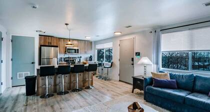 SLC Downtown Relaxing 2Bd 1Ba Strong WiFi