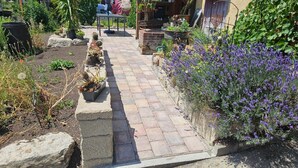 Un sendero en un jardín con plantas en macetas y un banco de piedra.