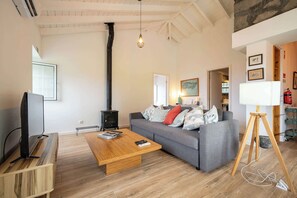 Televisión, chimenea y oficina 