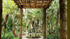 Eine hölzerne Pergola inmitten eines üppigen Gartens mit einem zentralen Weg.