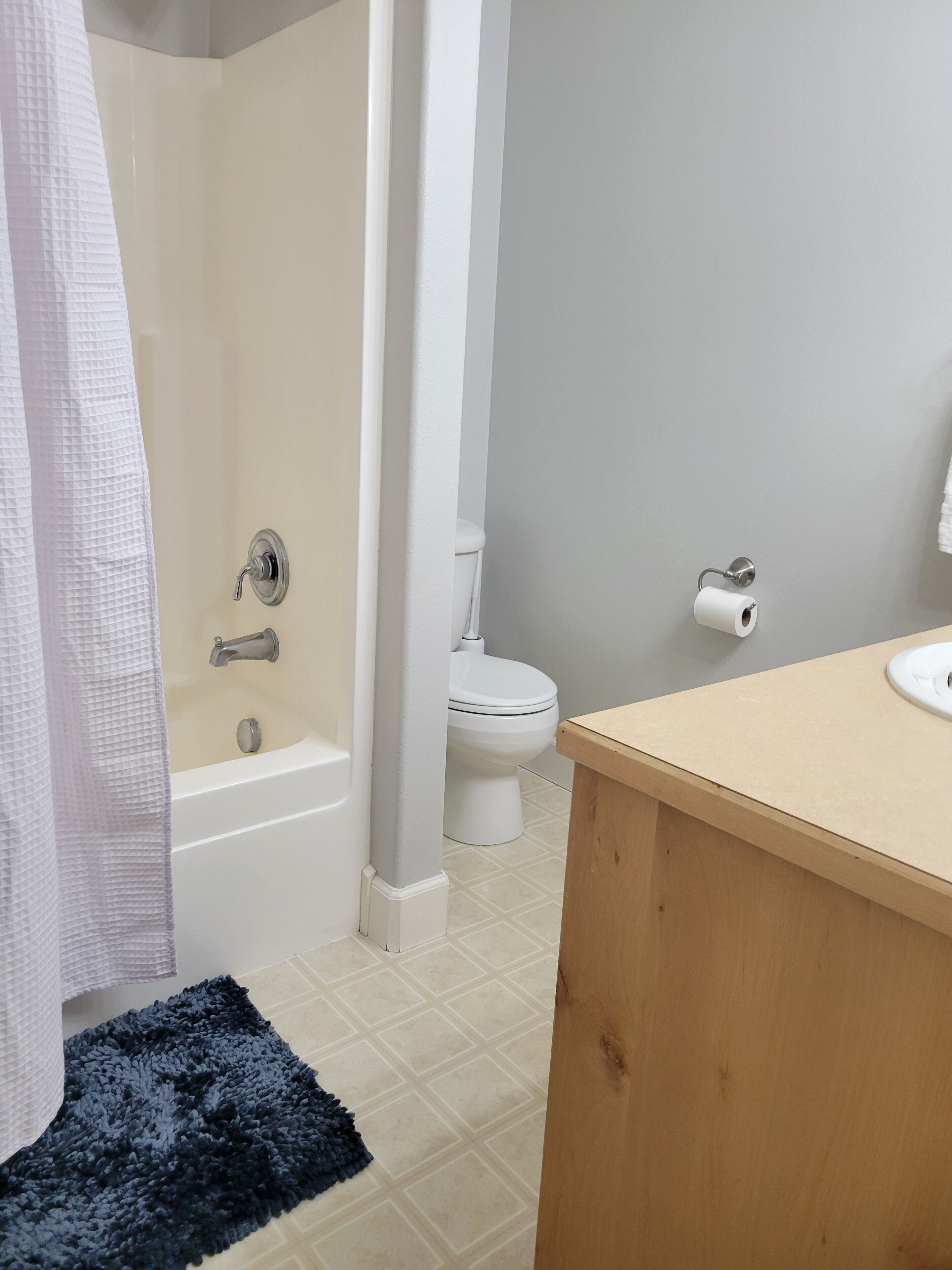 Jetted bath, hair dryer, bidet, towels