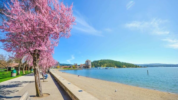 在海灘附近