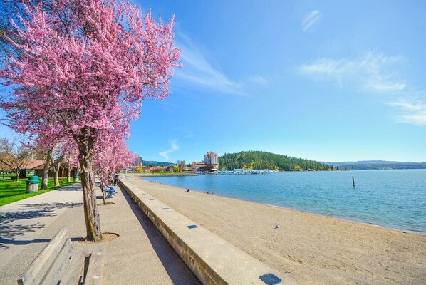 Plage à proximité