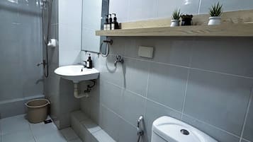 Shower, hair dryer, towels