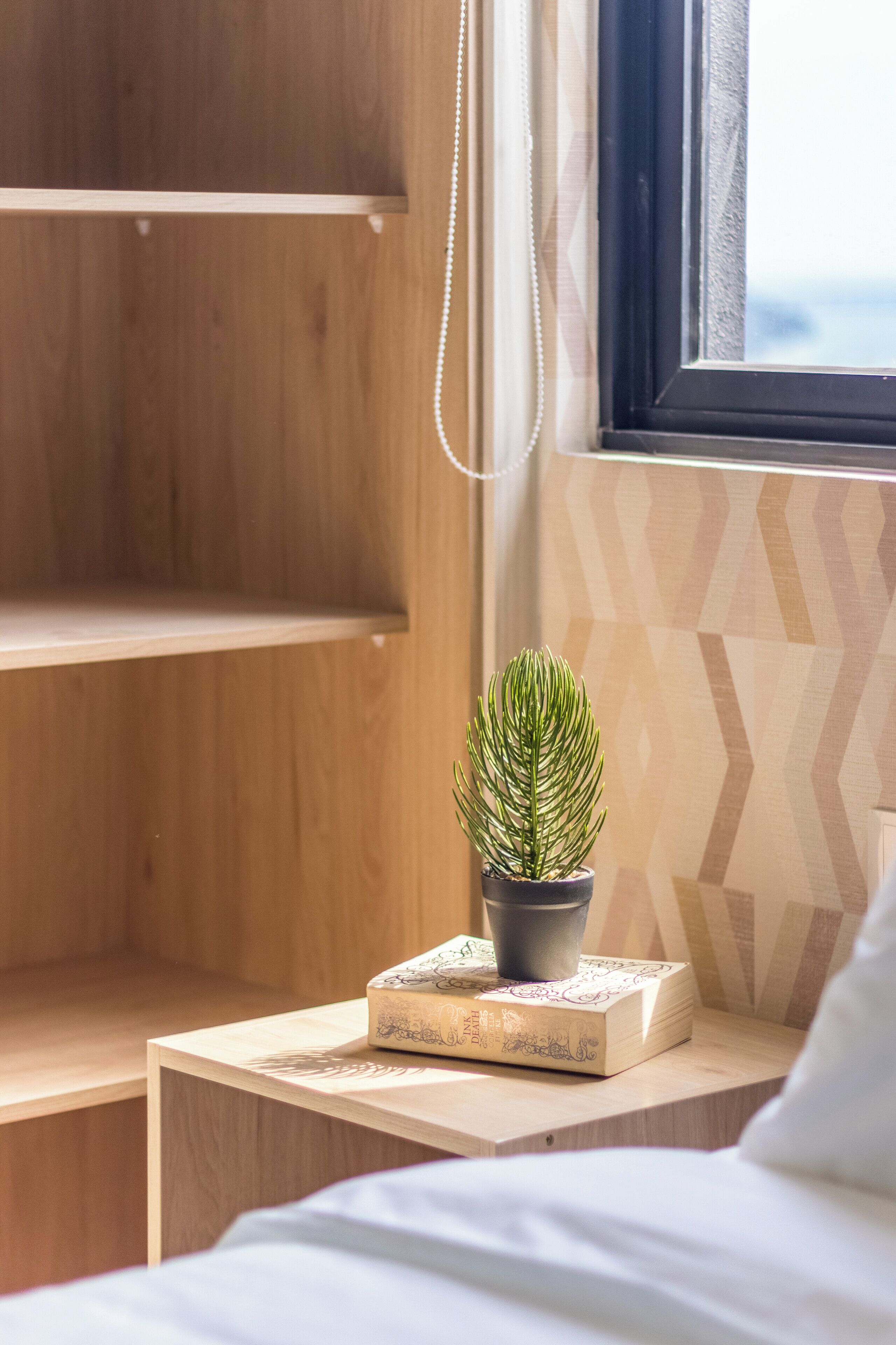 Una repisa de madera, una planta en maceta y una caja sobre una mesita de noche junto a una ventana.
