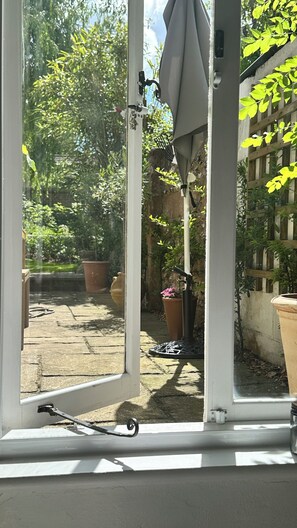 A conservatory with a view of a garden, a potted plant, and a wooden fence.