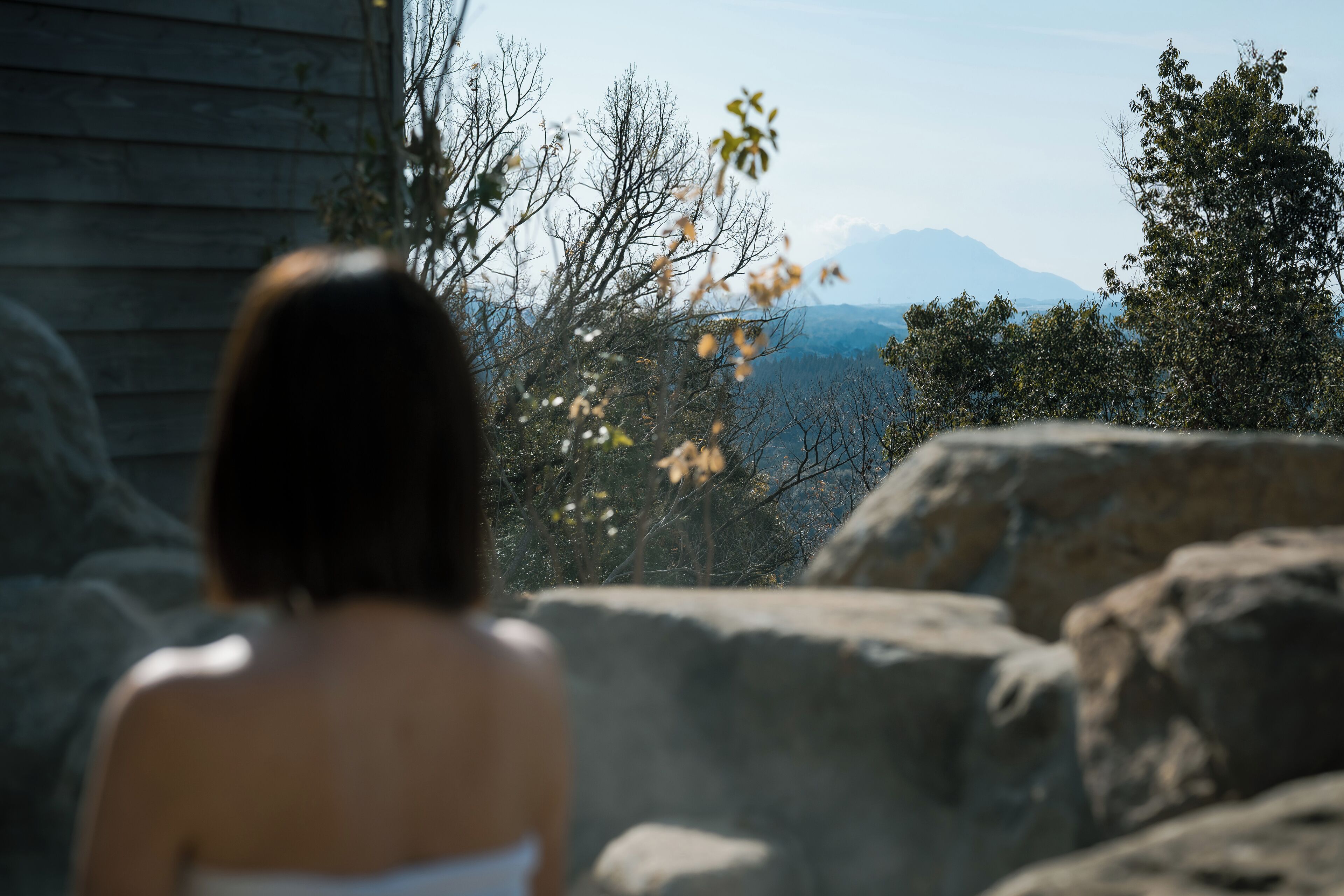 A person standing in front of a wooden cabin with a view of mountains and trees in the background.