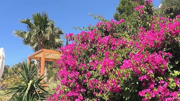 Vila, 2 quartos, sacada, vista para o jardim | Jardim