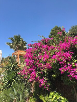 Garden - Villa With Pool Sea View Fitness (Ierapetra)