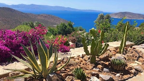 Apartment, Patio, Garden View | Garden - Seaview Appartment With Infinity Pool & Kitchen (Ierapetra)
