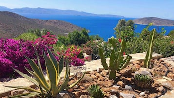 Apartment, Patio, Garden View | Garden