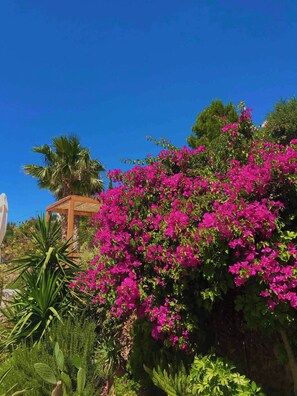 Apartment, Patio, Garden View | Garden - Seaview Appartment With Infinity Pool & Kitchen (Ierapetra)