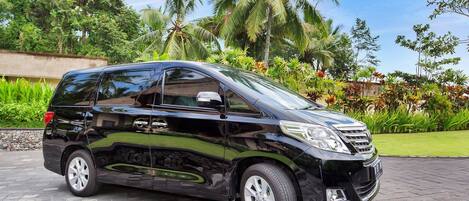 A black minivan parked on a paved area with a garden and palm trees in the background.