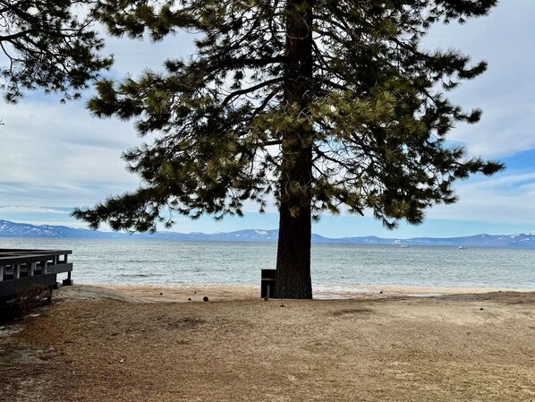 Ein Strand mit einer großen Baum, einer hölzernen Bank und freiem Blick auf das Wasser und ferne Berge.