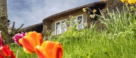 DĂ©tail de lâextĂ©rieur