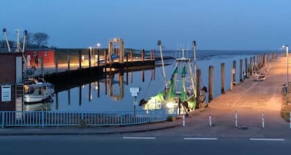 Holiday home in Pellworm with swimming pool